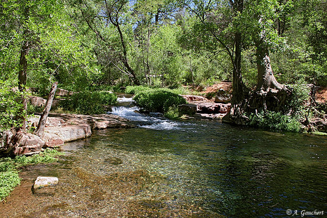 Paradise pool